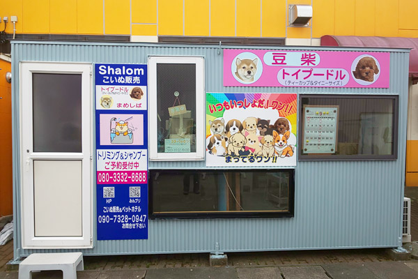 岩手県紫波郡紫波町・矢巾町のトリミング ココ・シャロン ＆ ペットホテル 愛犬シャロン